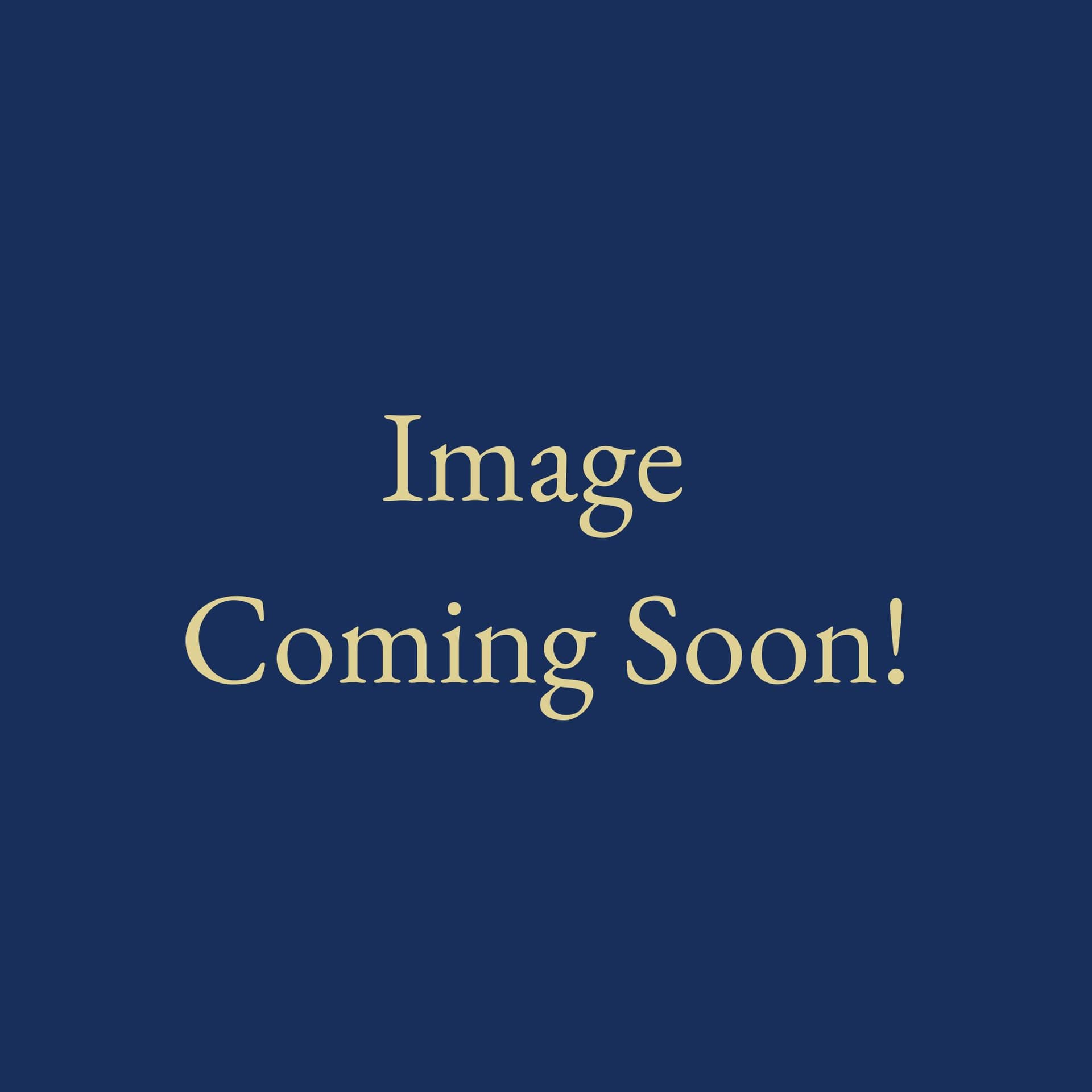 Little Bible Stories Coloring Book | Ages 3–6